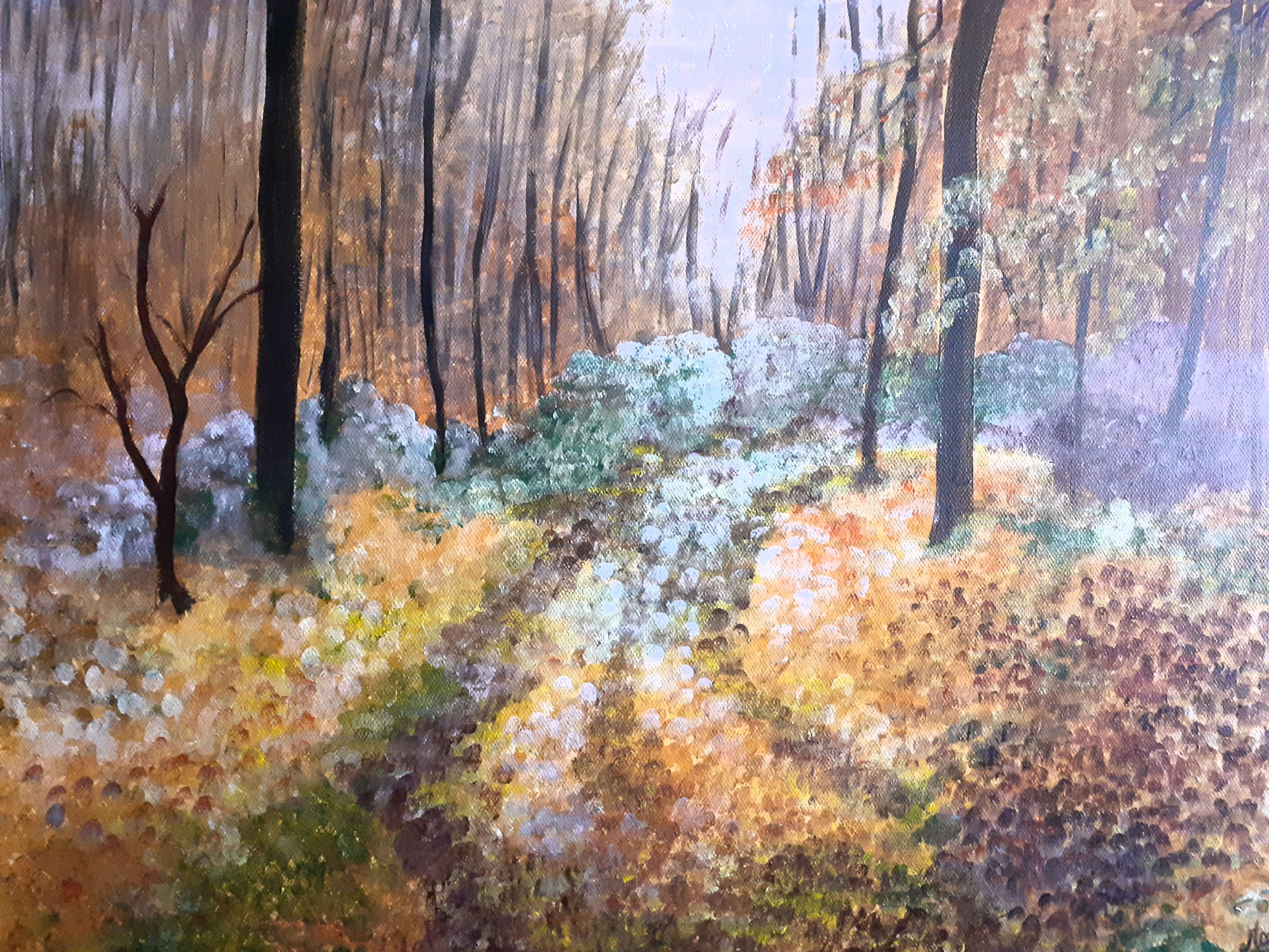 Soleil d'automne