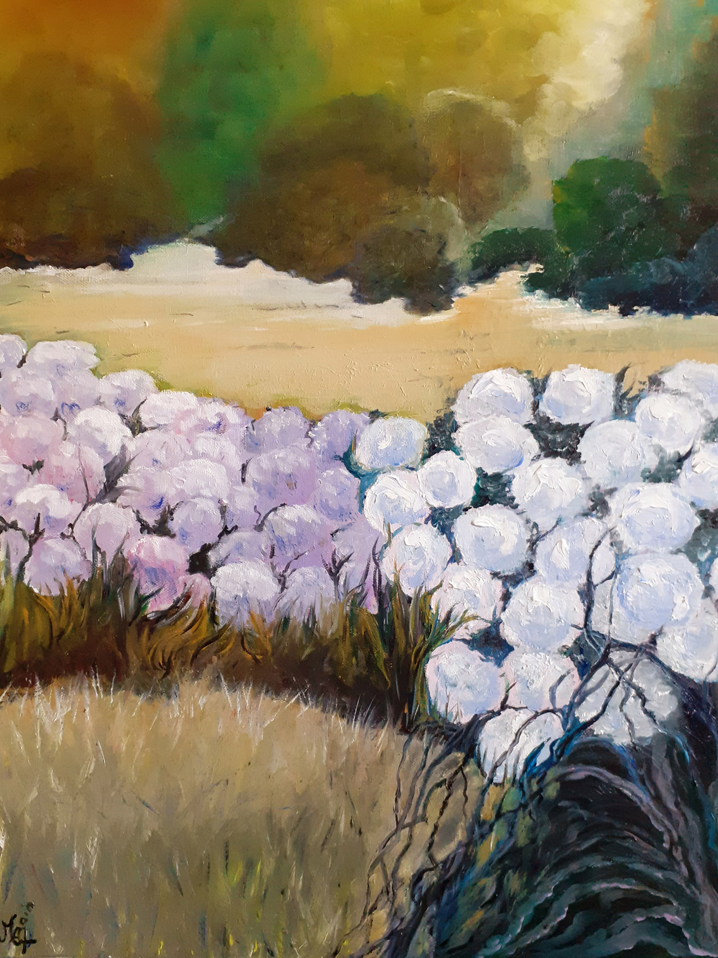 Les hortensias
