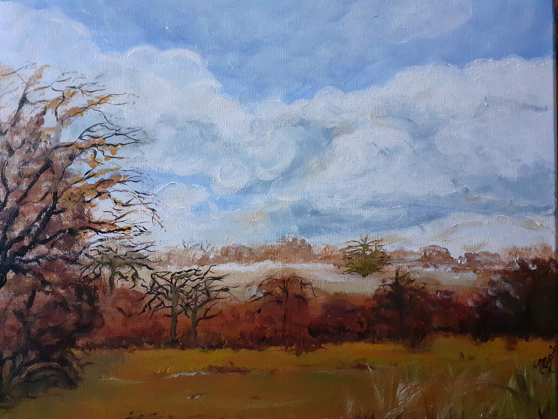 Paysage d'automne