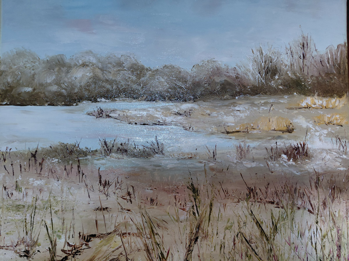 Étang de la Brenne en hiver