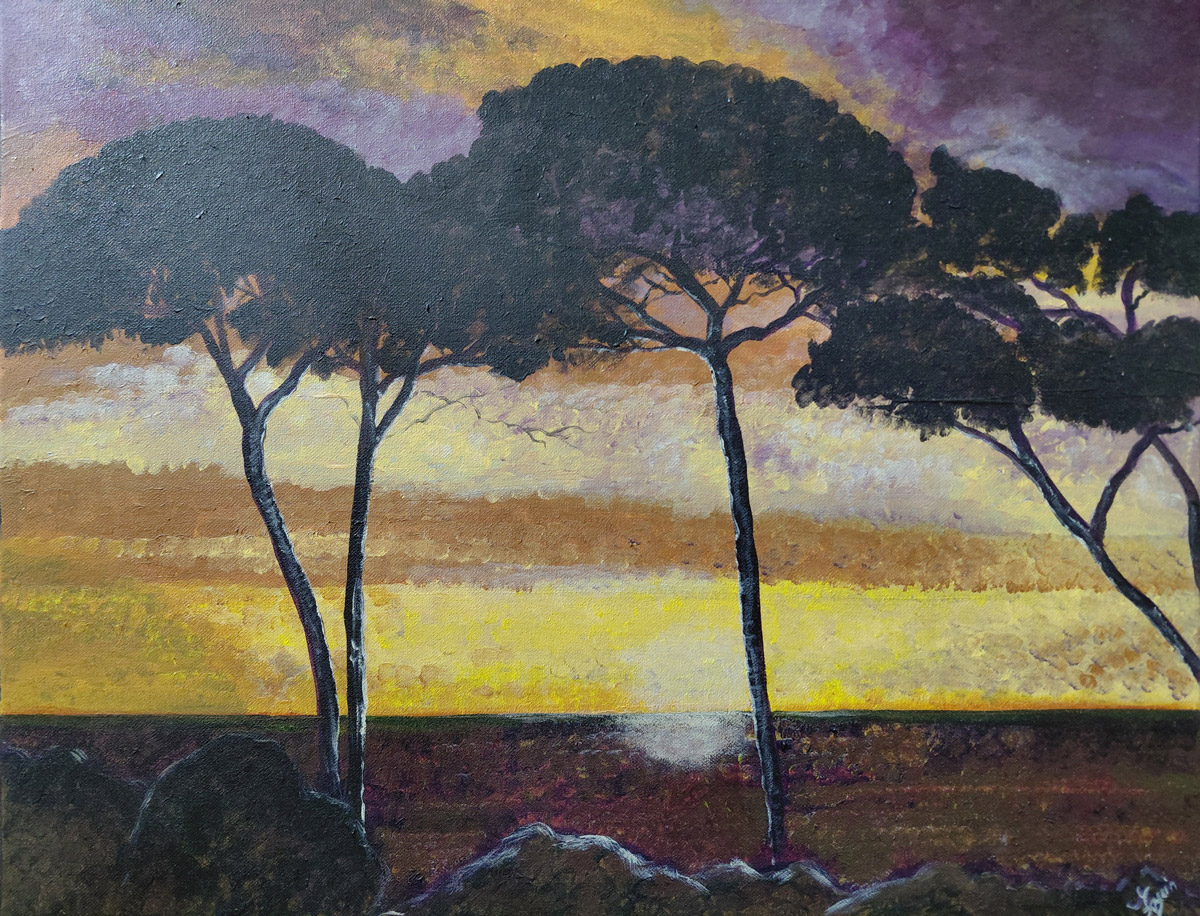 Coucher de soleil