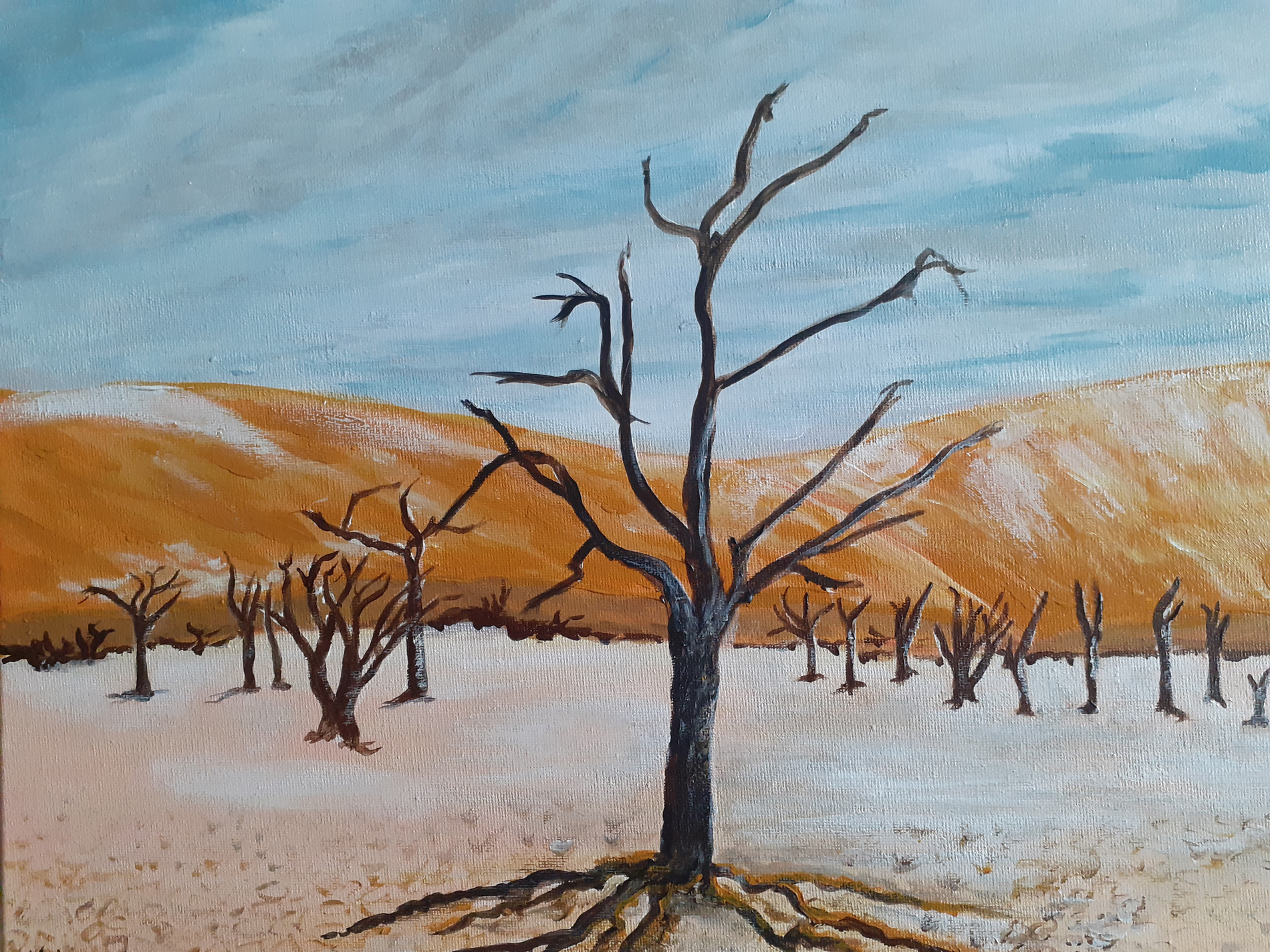 Arbres figés dans le temps - Désert Namibie