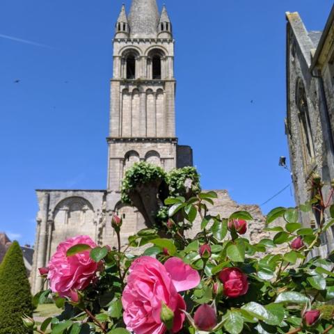 abbaye de Déols