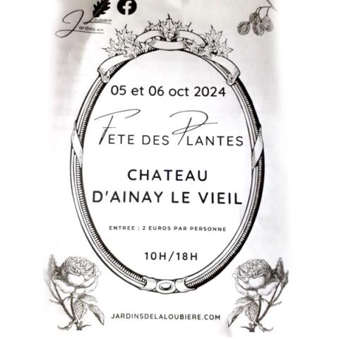 expo château d'Ainay-le-vieil dans le Cher